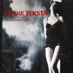 Naslovnica: Dodir teksta (ePUB)