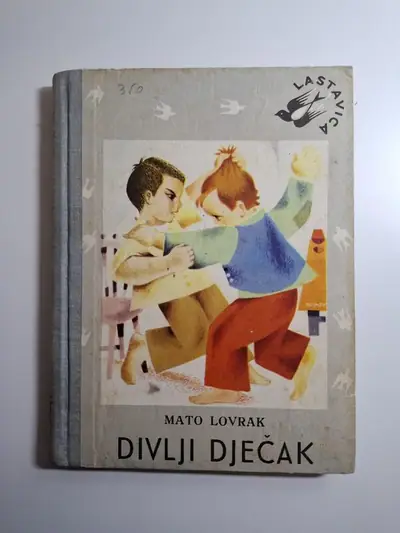 Naslovnica: Divlji dječak (Biblioteka Lastavica)