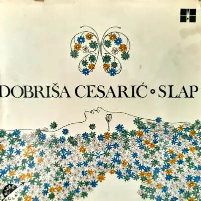 Naslovnica: Slap