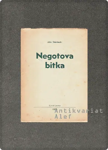 Naslovnica: Negotova bitka