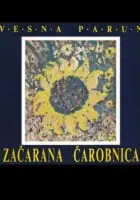 Naslovnica: Začarana čarobnica