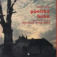 Naslovnica: Poetika buke