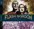 Naslovnica: Flash Gordon Dailies: Dan Barry Volume 1 - The City of Ice