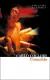 Naslovnica: Pinocchio (Collins Classics)