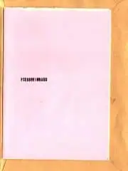 Naslovnica: Pseudorimbaud