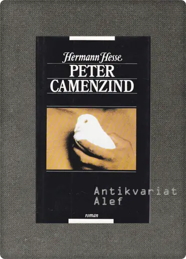 Naslovnica: Peter Camenzind