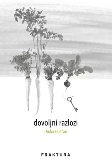 Naslovnica: DOVOLJNI RAZLOZI i druge pjesme