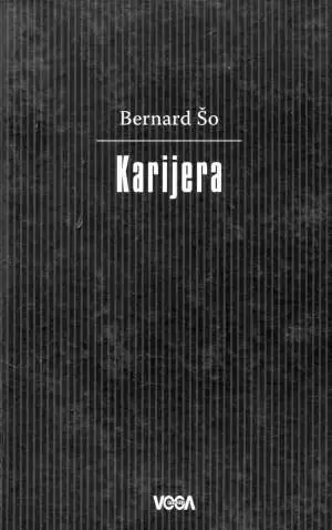 Naslovnica: Karijera