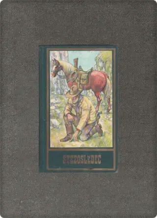 Naslovnica: Stezosledec