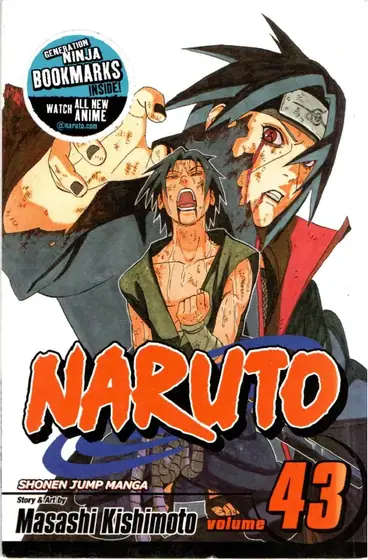 Naslovnica: Naruto, Vol. 11