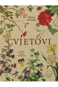 Naslovnica: Krug oko sunca
