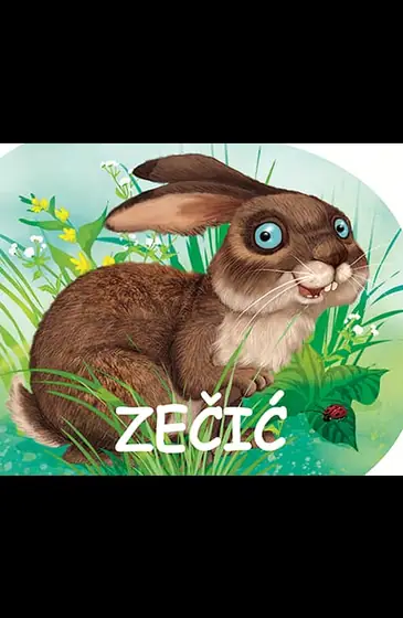 Naslovnica: Male šumske životinje - Zečić