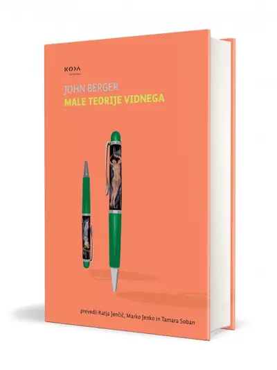 Naslovnica: Male teorije vidnega