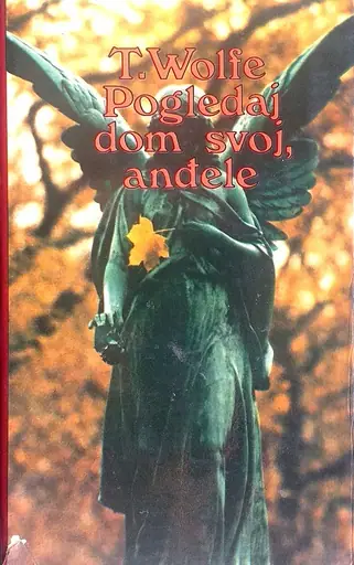 Naslovnica: Pogledaj dom svoj, anđele