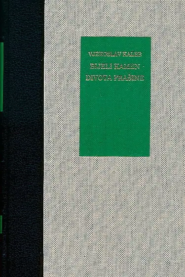 Naslovnica: Bijeli kamen / Divota prašine