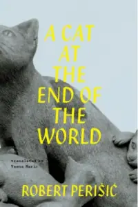 Naslovnica: A Cat at the End of the World