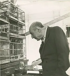 Umberto Saba