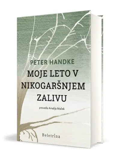 Naslovnica: Moje leto v Nikogaršnjem zalivu