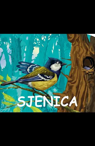 Naslovnica: Male šumske životinje - Sjenica