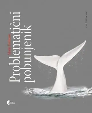 Naslovnica: PROBLEMATIČNI POBUNJENIK - MELVIL, DOSTOJEVSKI, KAFKA, KAMI