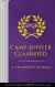 Naslovnica: Camp Jupiter Classified: A Probatio's Journal