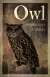 Naslovnica: Owl