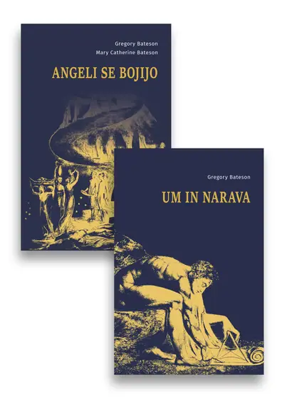 Naslovnica: Onkraj kartezijanskega dualizma (Komplet: Um in narava; Angeli se bojijo)