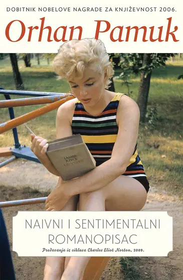 Naslovnica: Naivni i sentimentalni romanopisac