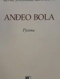 Naslovnica: Anđeo bola