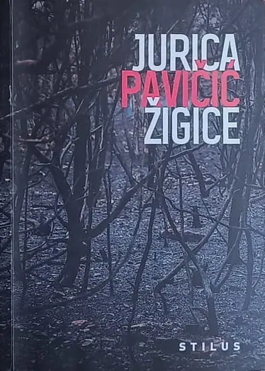 Naslovnica: Žigice