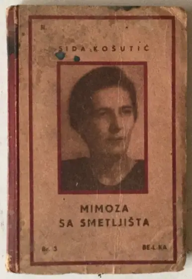 Naslovnica: Mimoza sa smetljišta