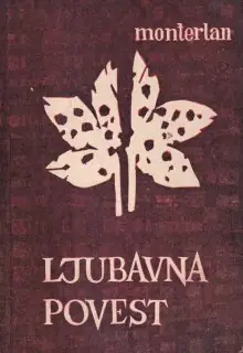 Naslovnica: LJUBAVNA POVEST: iz "Pustinjske ruže"