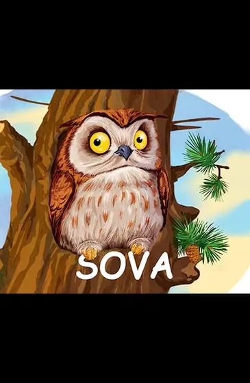 Naslovnica: Male šumske životinje - Sova