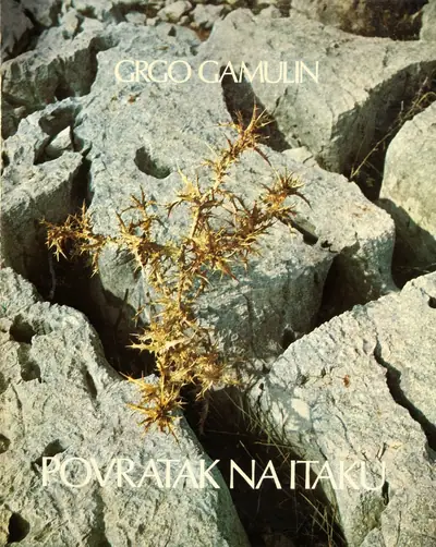 Naslovnica: Povratak na Itaku