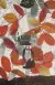 Naslovnica: Anne of Green Gables & Anne of Avonlea